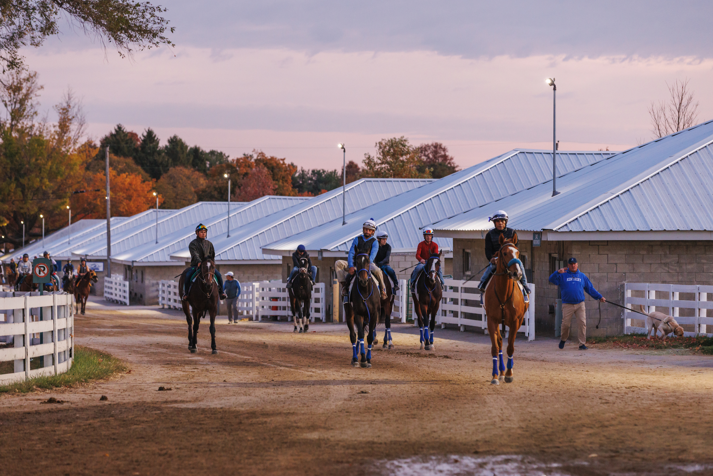 Behind-the-Scenes Racing Tour